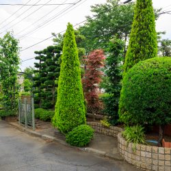 植える場所と生長を見越した樹木選定がポイント／展示場より